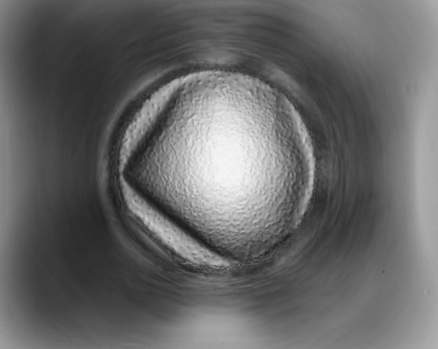 X0000088070726200706081709