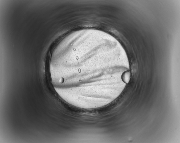 X0000088070727200706081709