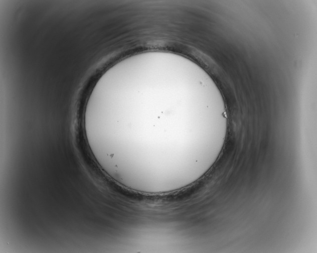 X0000088070728200706081709