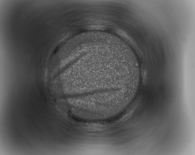 X0000088070729200706081709