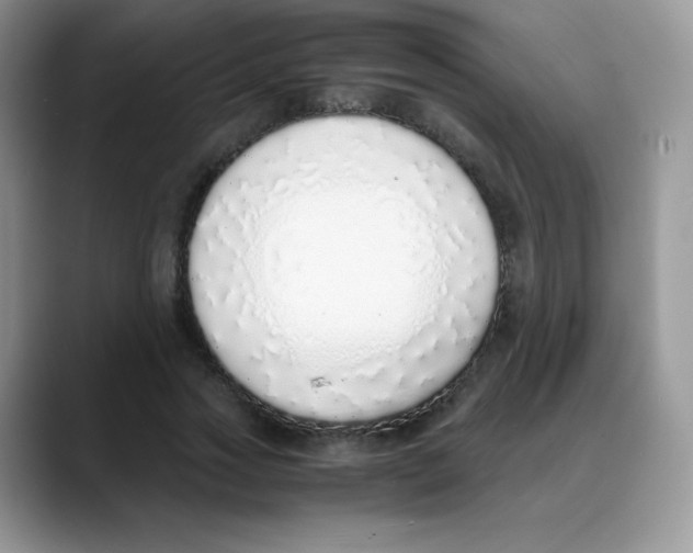 X0000088070733200706081709