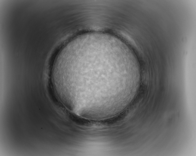 X0000088070736200706081709