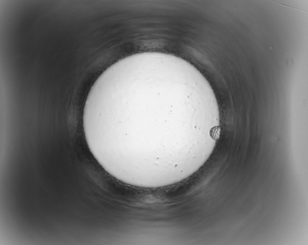X0000088070737200706081709