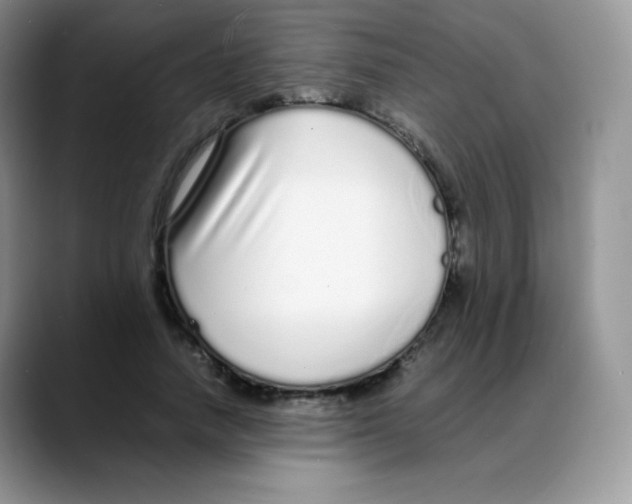 X0000088070738200706081709
