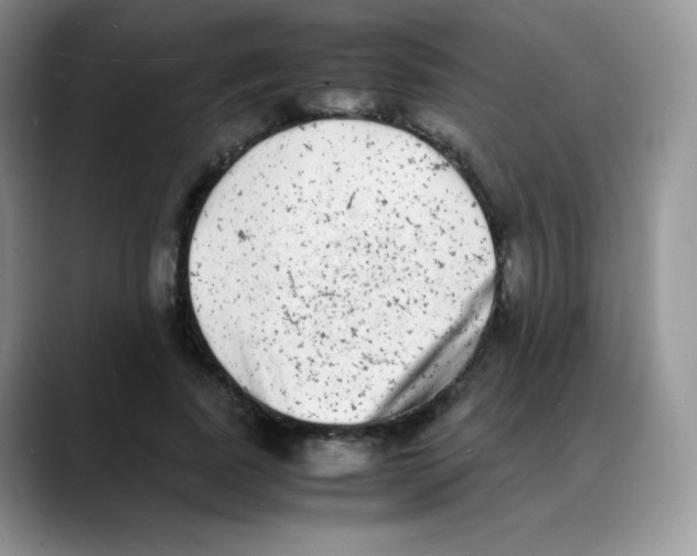 X0000088070739200706081709