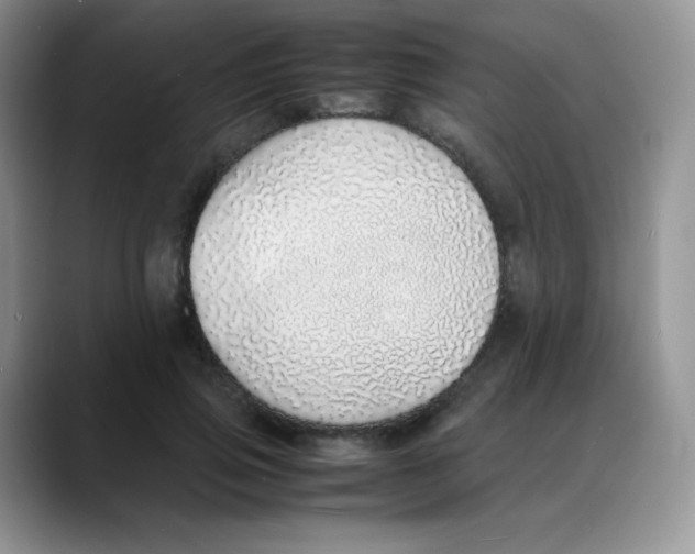 X0000088070741200706081709