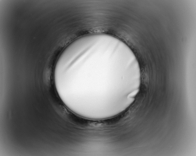 X0000088070742200706081709