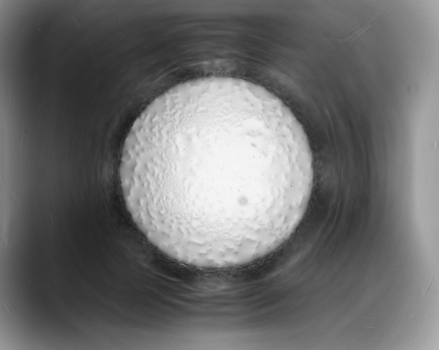 X0000088070745200706081709