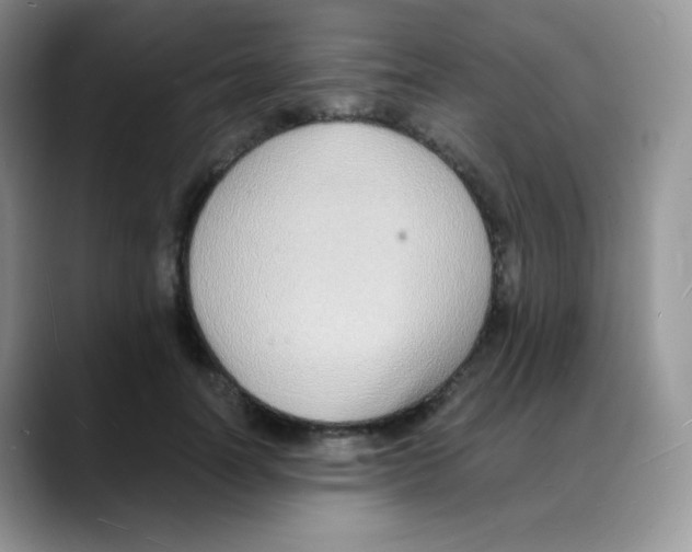 X0000088070746200706081709