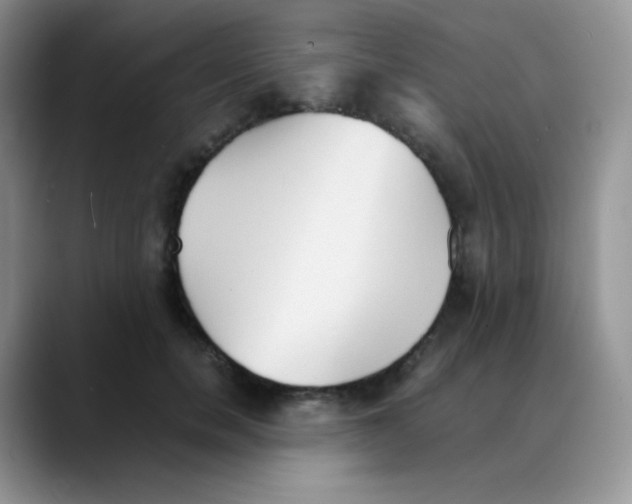 X0000088070750200706081709