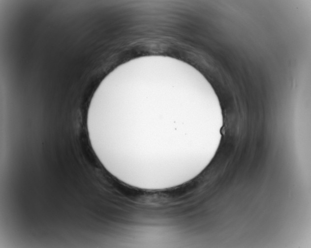 X0000088070752200706081709