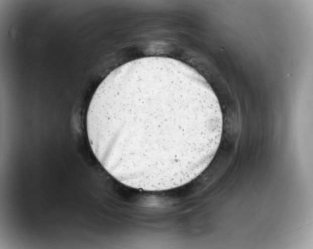 X0000088070755200706081709