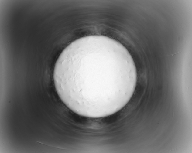X0000088070757200706081709