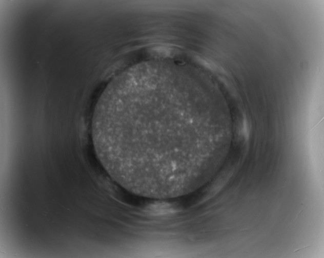 X0000088070759200706081709