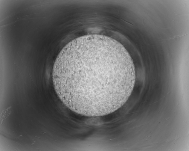 X0000088070761200706081709
