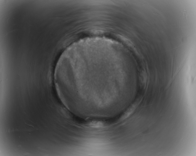 X0000088070762200706081709