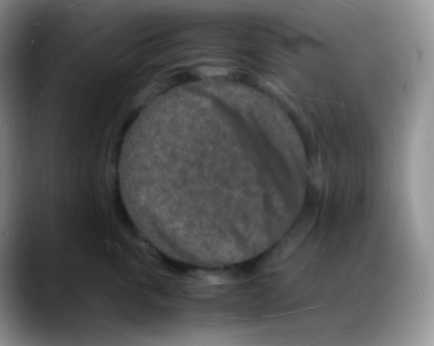 X0000088070763200706081709