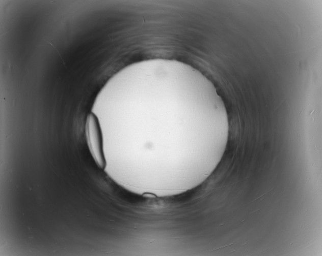 X0000088070764200706081709