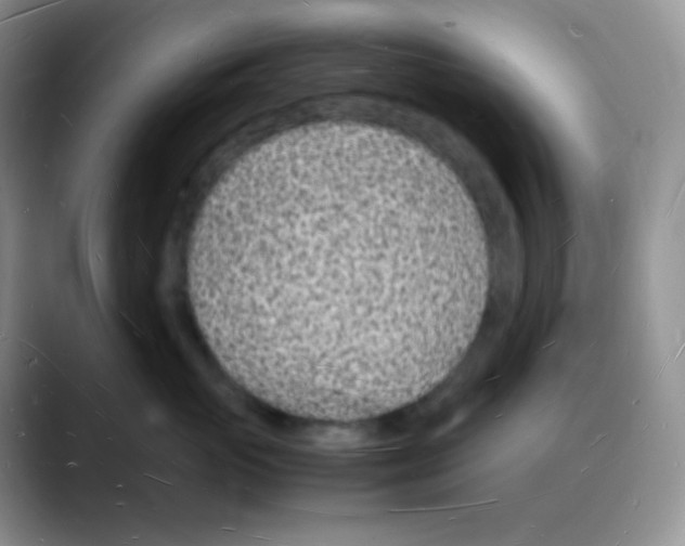 X0000088070765200706081709