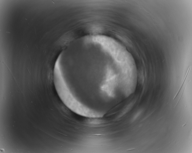 X0000088070766200706081709