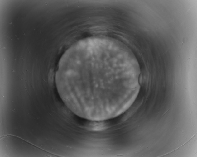 X0000088070767200706081709