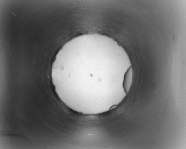 X0000088070768200706081709
