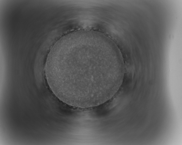 X0000088070769200706081709