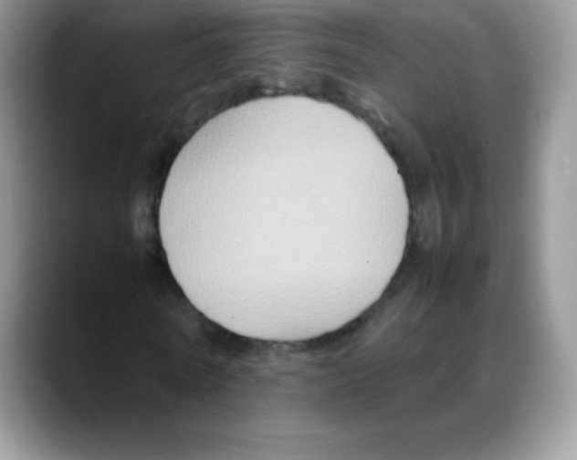 X0000088070770200706081709