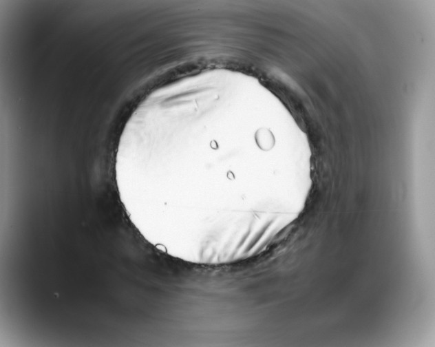 X0000088070775200706081709