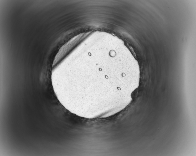 X0000088070776200706081709