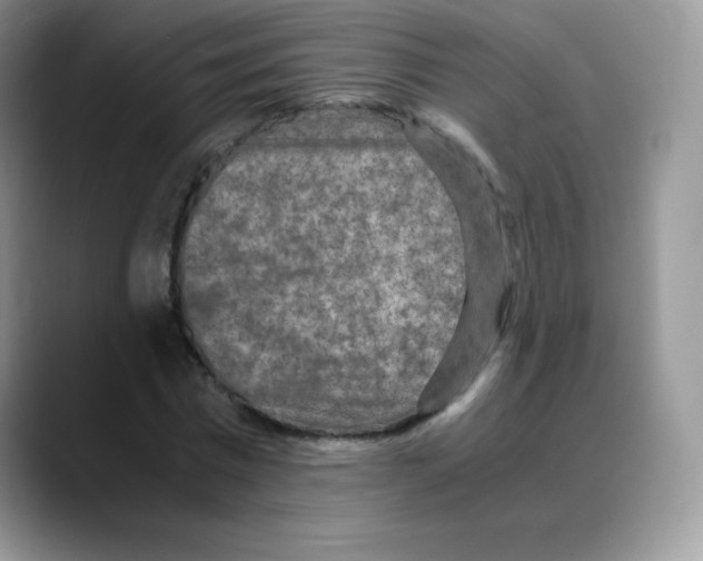 X0000088070777200706081709