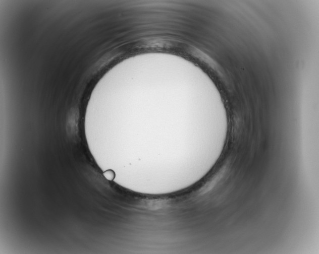 X0000088070778200706081709