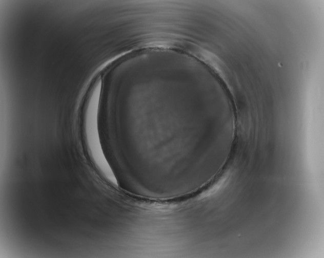X0000088070779200706081709