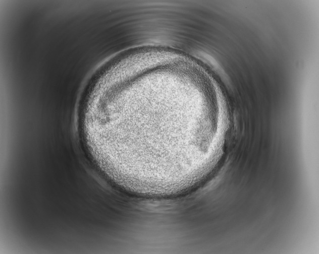 X0000088070780200706081709
