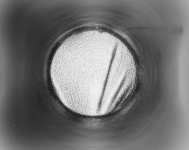 X0000088070783200706081709