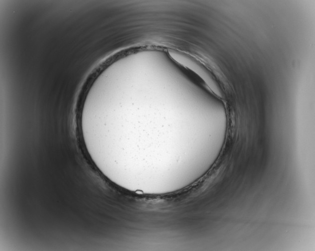 X0000088070784200706081708