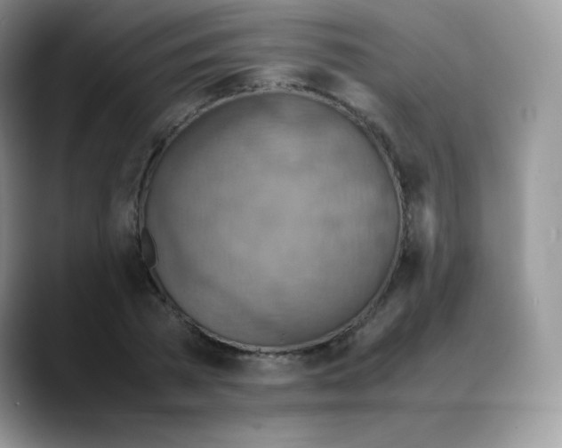 X0000088070785200706081708
