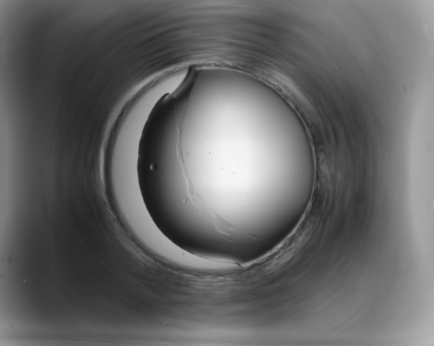 X0000088070788200706081708