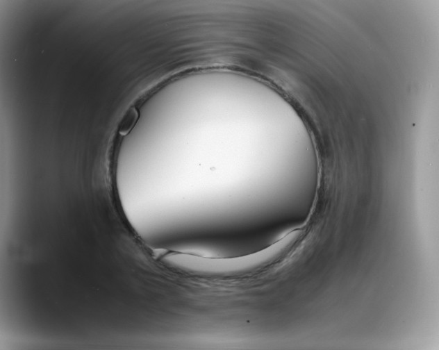 X0000088070789200706081708