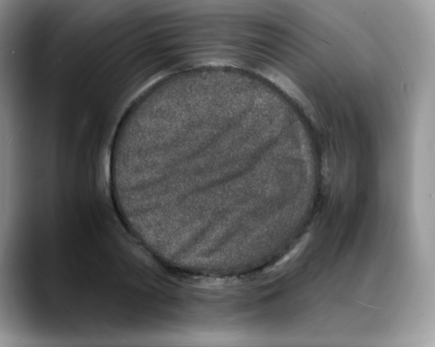 X0000088070790200706081708