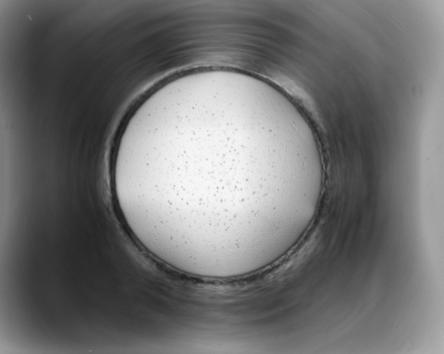 X0000088070792200706081708
