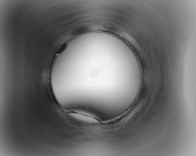 X0000088070793200706081708