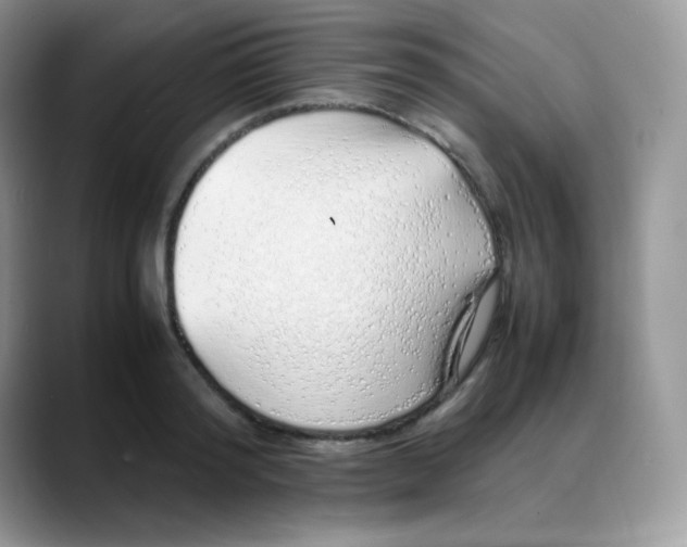 X0000088070796200706081708
