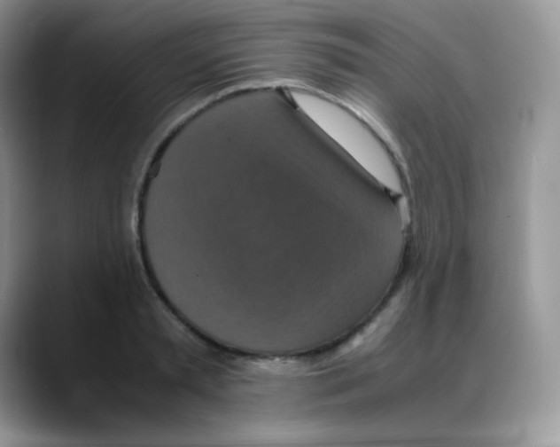 X0000088070797200706081708