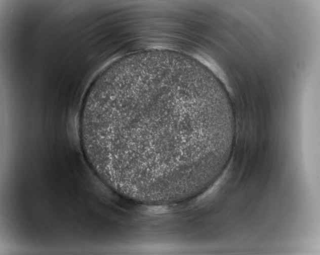 X0000088070798200706081708