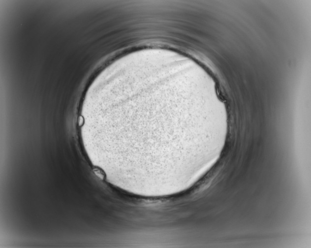 X0000088070799200706081708