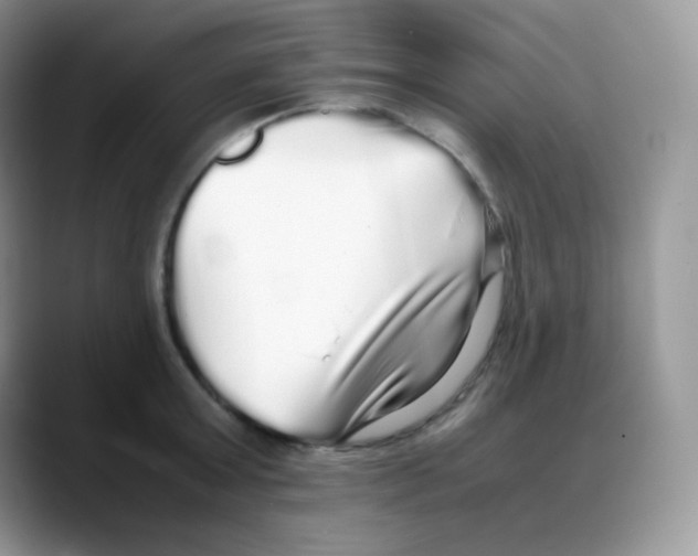 X0000088070803200706081708