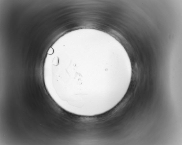 X0000088070804200706081708