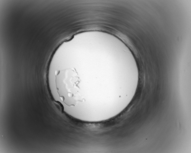 X0000088070805200706081708