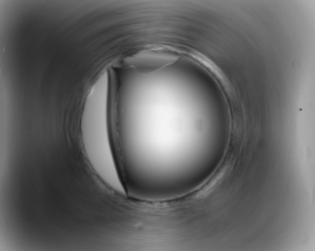 X0000088070809200706081708